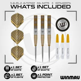 WINMAU – Daryl Gurney Signature Edition - 23g - 95% Tungsten - Professional Steel Tip Darts Set with Dart Flights and Stems (Shafts)