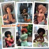 Afro Wigs for Black Women Gray Bouncy Fluffy Curly Big