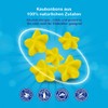 Neo Peques - Omega 3 DHA Gummy Bears for Children