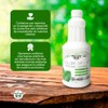 CLOROFILA FRESCA PREMIUM - Suplemento alimenticio con Clorofila.2 frascos con