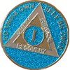 Ranger Industries 1 Year AA Medallion Aruba Blue Glitter Sobriety