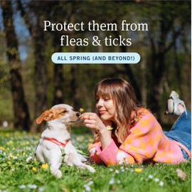 PetArmor PetArmor Plus Flea and Tick Prevention for Dogs, Dog Flea and Tick Treatment, 12 Doses, Waterproof Topical, Fast Acting, Small Dogs (5-22 lbs)