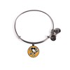 Alex and Ani Color Infusion Charm, Pittsburgh Penguins II Expandable