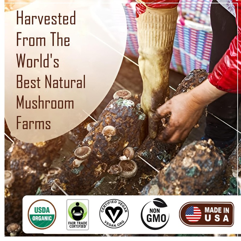 La Republica Instant Mushroom Coffee Organic 2-Pack (70 Servings), 100%