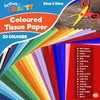 20pk Coloured Tissue Paper for Wrapping Gifts - 66cm x