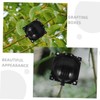 BESPORTBLE 6Pcs Plant Rooting Grafting Box Assisted Plant Rooting Devices