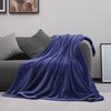 Mellowdy Extra Thick Hearty Plush Flannel Blanket (Violet Purple, 60x80)