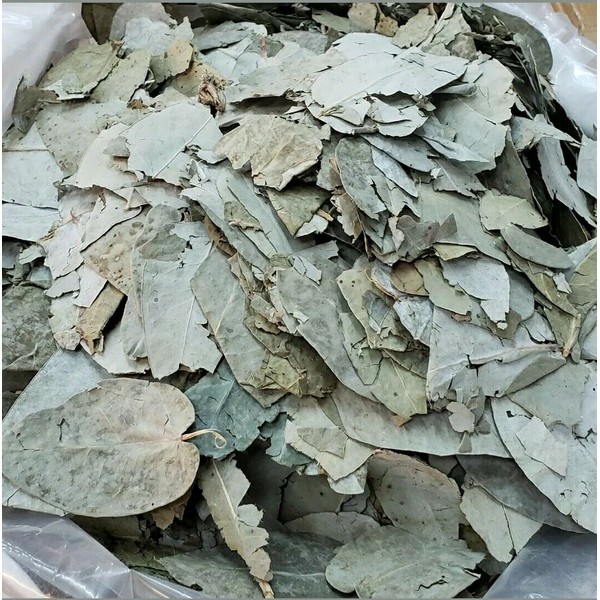 EUCALIPTO LEAVES 200 gr TEA BRONQUIOS TOS ASMA/ EUCALYPTUS BRONCHITIS,PNEUMONIA