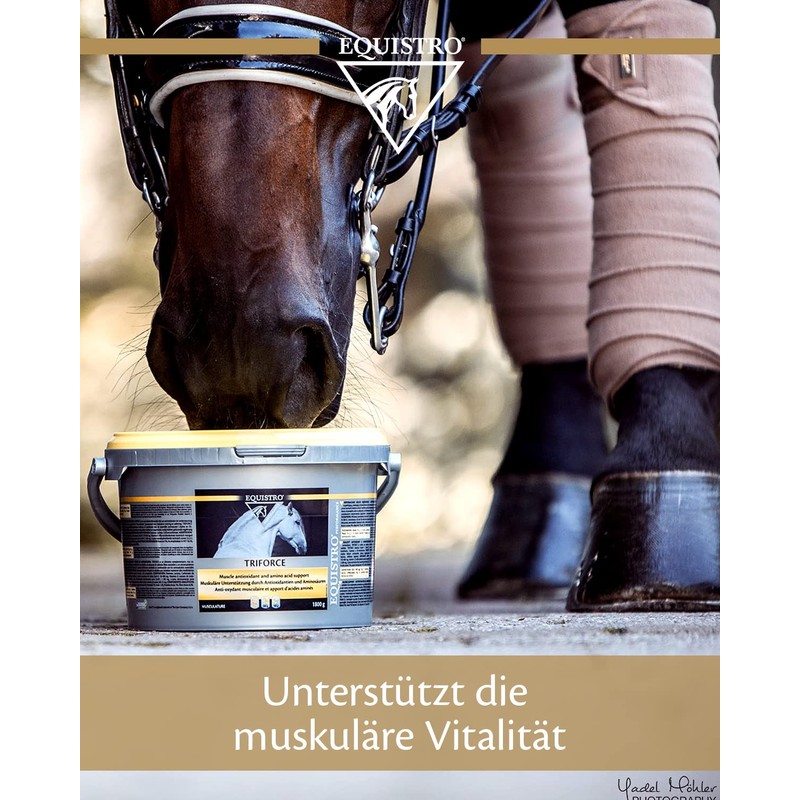 Equistro Triforce Powder for Horses (Tub Size: 600g)