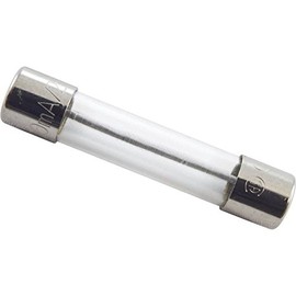Balboa 21581 0.3-Amp Fuse without Lead