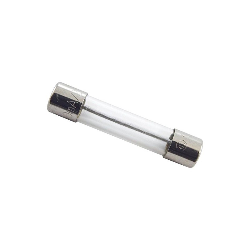 Balboa 21581 0.3-Amp Fuse without Lead