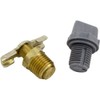 Raypak 006721F Drain Plug Capron