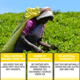 Brew La La Organic Green Tea - Natural Ginger Lemon Flavor - 50 Tea Bag Box - Low Caffeine Tea - USDA Certified Organic