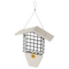 Birds Choice GSTP Green Solutions Suet Feeder