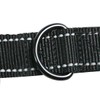 MODUS Reflective Leash for Dogs, Double-Sided Nylon Dog Training Leash