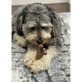 SPOT Bam-Bones Wishbone - Made with Strong Bamboo Fiber, Durable Long Lasting Dog Chew for Light to Moderate Chewers, Great Toy for Adult Dogs & Teething Puppies Under 30lbs, 5.25in, Chicken Flavor