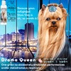 The Blissful Dog Leonberger Drama Queen Dog Shampoo, 16 oz.