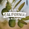 Pearls California Grown 16 Cups 1.2oz Pitted Black Olives Snack