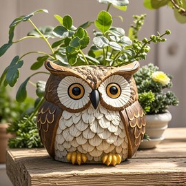 Owl Planter, Owl Succulent Pots, Funny Plant Pots Indoor/Outdoor, Decorative Garden Flower Pot, Cute Small Planters for office Home Decor, Unique Statue Figurine Bowl, Gifts for Women Mother Teacher