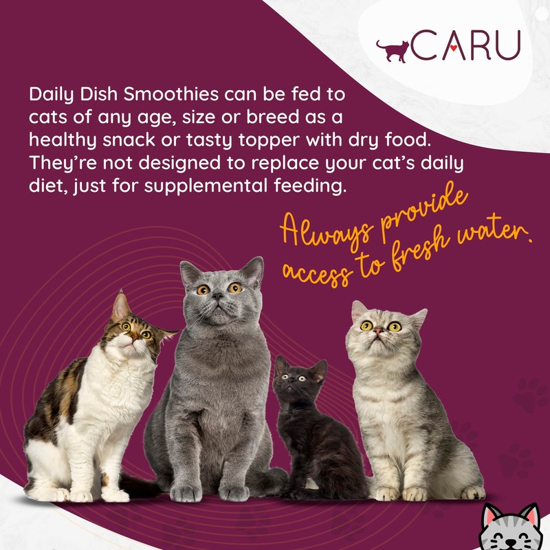 CARU Daily Dish Smoothies Chicken & Salmon Recipe Lickable Treat