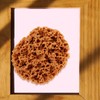 Large Sea Sponges for Artists, Unbleached Texture Sponge Texture Patch