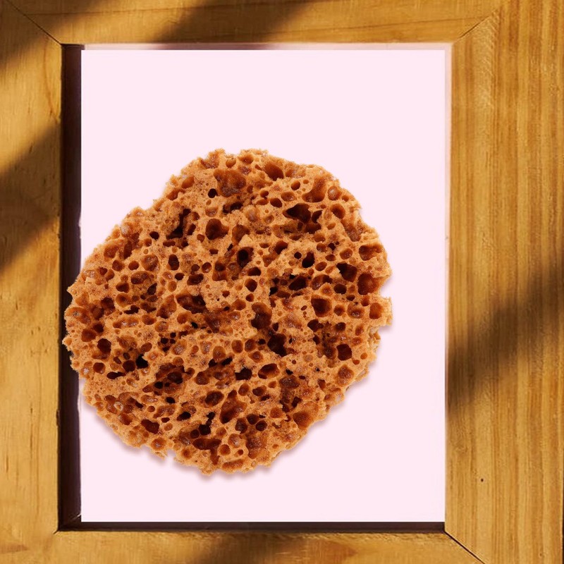 Large Sea Sponges for Artists, Unbleached Texture Sponge Texture Patch