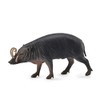 CollectA Sulawesi Babirusa