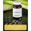 MoleQlar idine 60 Capsules - Dietary Supplement with idine from