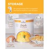 READYWISE - Simple Kitchen, Powdered Eggs, 72 Servings, Emergency Supply,