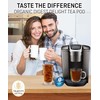 Organic Tea Pods with Ginger, Peppermint, Fennel, Licorice, & Rosehip