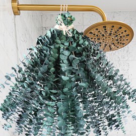 48 Pcs Large Dried Eucalyptus Shower - Natural Eucalyptus Branches for Shower Hanging, 17" Preserved Eucalyptus Steam Shower for Women and Men, Relaxation Set, Mother's Day