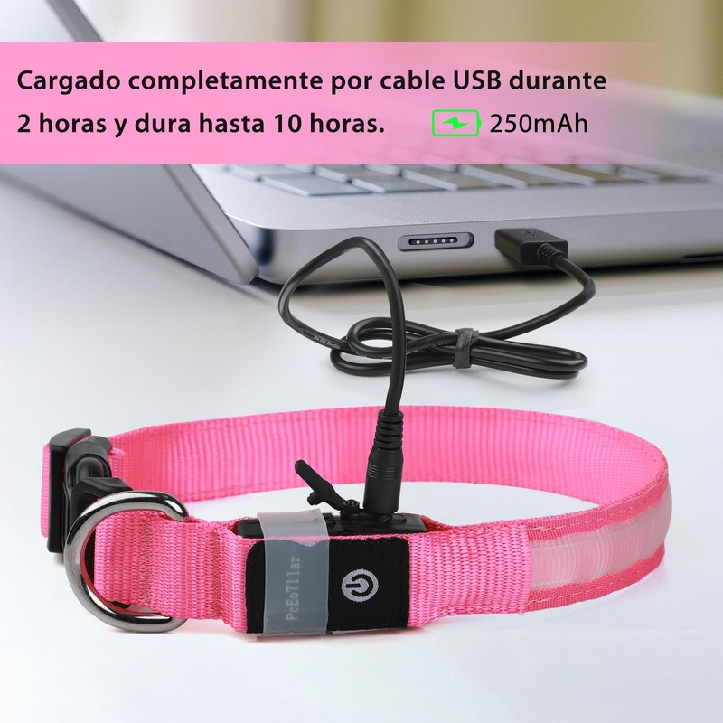 PcEoTllar Light up Dog Collar for Night Walking - LED