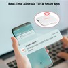 WiFi Water Leak Detector for Home with App Notification, 1