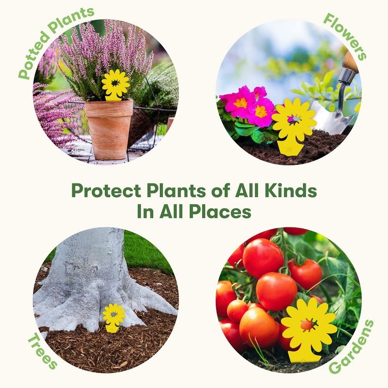 BugMD Sticky Bug Traps (12 Pack) - Indoor Fruit Fly