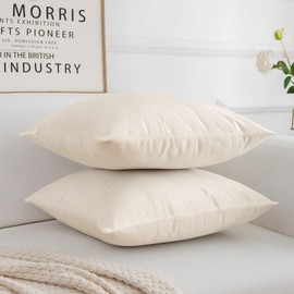 Set of 2 Velvet Christmas Cushion Covers, Decorative Cushion Covers, Sofa Cushion, Lumbar Cushion, Throw Cushion Cover with Hidden Zip, Sofa and Bedroom, 20 x 20 Inches, 50 x 50 cm, Beige