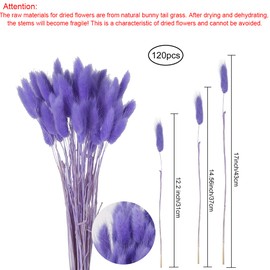 XHXSTORE 120pcs Bunny Tails Dried Flowers Purple Dried Flowers Bulk Mini Pampas Grass Dried Floral for Home Wedding Flower Arrangement DIY Craft Decor (16")