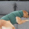ROZKITCH Dog Anxiety Jacket, Soft Dog Calming Shirt for Lightning,