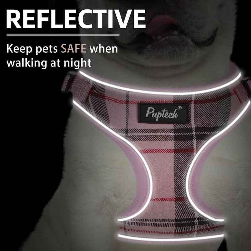 PUPTECK Soft Mesh Dog Harness and Leash Set Pet Puppy