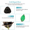 Long Stem Dipped 24k Gold Trim Red Rose In Gold