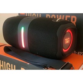 T&G HIGH POWER PORTABLE WIRELESS BLUETOOTH SPEAKER
