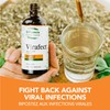 St. Francis Herb Farm Virafect - Immunity Booster Herbal Supplement