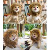 Lion Mane Wig for Dog and Cat Costume