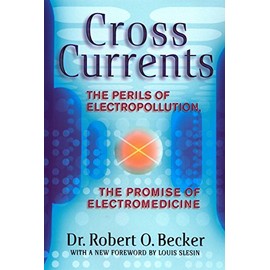 Cross Currents: The Perils of Electropollution, the Promise of Electromedicine