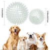petizer 6 Pack 3.5’’ Glow in The Dark Dog Balls