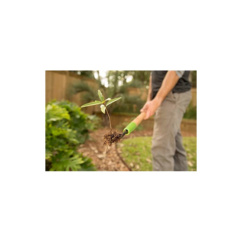 Ames COMPANIES THE 2942100 Forg Dandelion Weeder