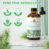 EVOKE OCCU Pine Essential Oil for Home Diffuser Fragrance DIY