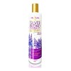 Shampoo Matizador Silver Percapelli 300ml Libre De Sal
