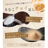 Minoyo Soybean Flour, 17.6 oz (500 g), Smooth Texture, Blissful