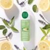 Twofruit Musticle Lotion 100ml 99% natural ingredients, children only, bug bite care, body only / 투프루트 무스티클 로션 100ml 99%자연유래성분 어린이전용 벌레물림케어 바디전용
