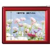 Hakuba LCD Protective Film markiicanon ixy150 Dedicated DGF2 – cax150